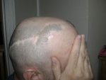 hair pic 007.jpg