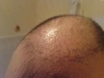 bullitnut_10_m.JPG