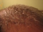 front right view..jpg