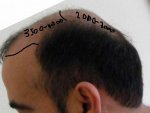 Design with graft est..JPG