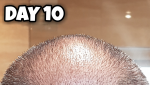 Crown 10.png Crown 10.png