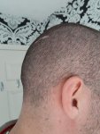side profile, right.jpg side profile, right.jpg