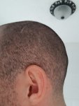 side profile, left.jpg side profile, left.jpg