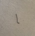Bent hair follicle.jpg