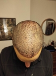 IMG_20201117_194840.jpg