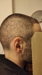 IMG_20201120_184652.jpg