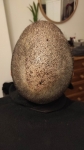 IMG_20201120_184700.jpg