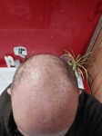 20201126_082436.jpg