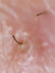 20210107_233033.jpg