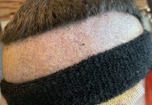 IMG_4544.jpeg IMG_4544.jpeg