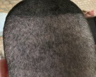 IMG_4673.jpeg IMG_4673.jpeg