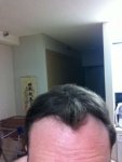 hair brushed forward.JPG