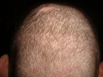 head 005.jpg