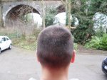 SAM_0598.JPG