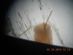 DSCN2679.JPG
