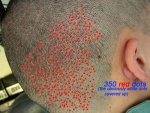 whitedots-RED.jpg
