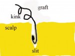 site2.gif.jpg