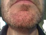 beard 3.jpg