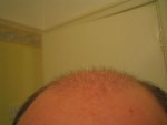 Farjo 025.jpg