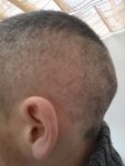 WP_000591.jpg