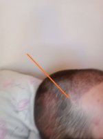 158733068_204091298171106_1521517844013503217_n.jpg