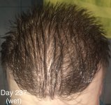 IMG_8238.jpeg