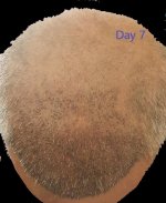 Day7 F.jpg