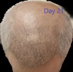 Day21 F.jpg