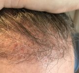 IMG_4121.jpg