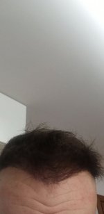 225635694_344413000574259_5901555735735271331_n.jpg