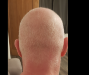 Screen Shot 2021-08-19 at 20.25.20.png
