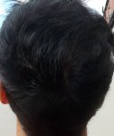 Crown 6 month Combed Forward 1.jpg