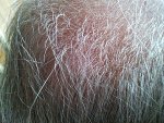 IMG_20130928_013059.jpg