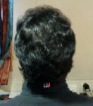 Crown 12 Month update 2.JPG