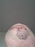 20130826_133838.jpg