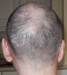 no 1 2011 back.JPG