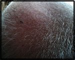 IMG_20131216_084707.jpg