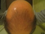 Farjo 130.jpg