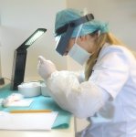 Prohair 2 during treatment 1.jpg