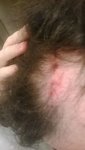 WP_20140309_010.jpg