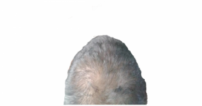 Crown1.png