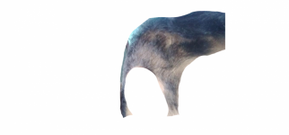 rightsidef.png