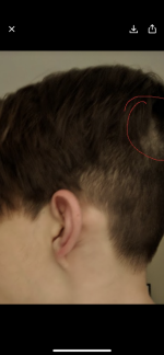 2017.png
