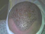 tukey 2014 040.jpg
