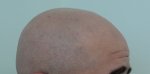 DSC06912.JPG