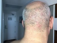 IMG_4855.jpeg