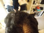 without brush or covering 06-04-15.JPG
