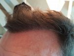 20160727_192048.jpg
