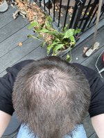 IMG_2649.jpeg