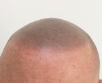 hair 2.jpg